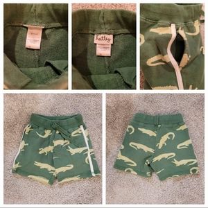 Hatley 6-12 month shorts